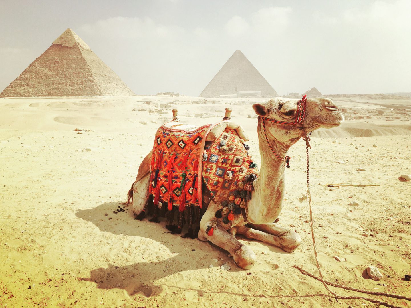 A Pit Stop In Giza